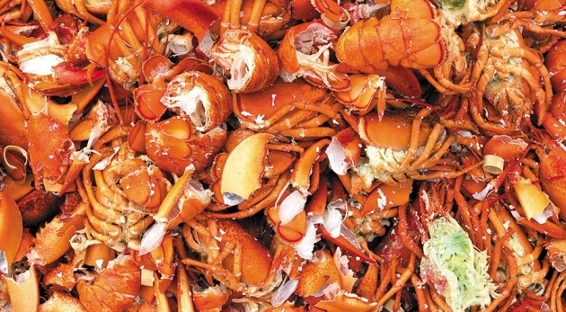 科學(xué)家認(rèn)為蝦蟹殼作為可再生資源價(jià)值巨大