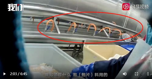 白色粉末 泡出黃金鮑,海鮮加工廠違規(guī)使用化學添加劑