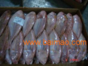 青島進口海鮮清關代理公司 生產廠家、價格與海鮮進口全解析