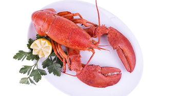 多國海鮮產(chǎn)品關(guān)稅迎調(diào)整或全免，全球貿(mào)易格局或?qū)⒅厮? class=