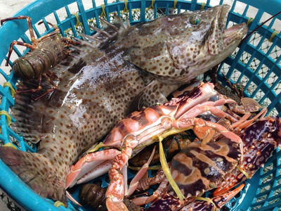 探海鮮萬山 | 海鮮美食節(jié)探鮮團(tuán)招募，免費(fèi)吃喝玩樂等你來！